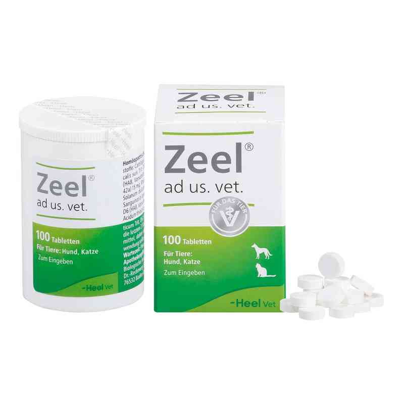 Zeel Tabletten für Hunde /Katzen 100 stk von Biologische Heilmittel Heel GmbH PZN 04133318