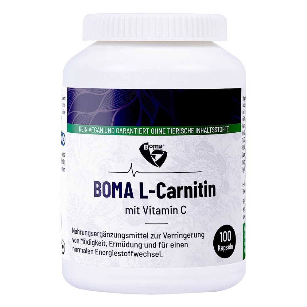 L-carnitin 500 Kapseln 100 stk