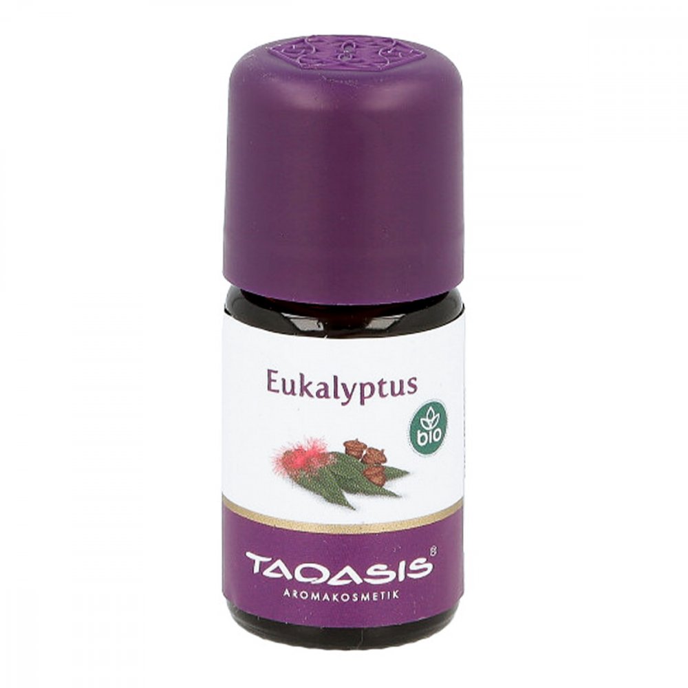 Eukalyptus öl Bio 5 ml