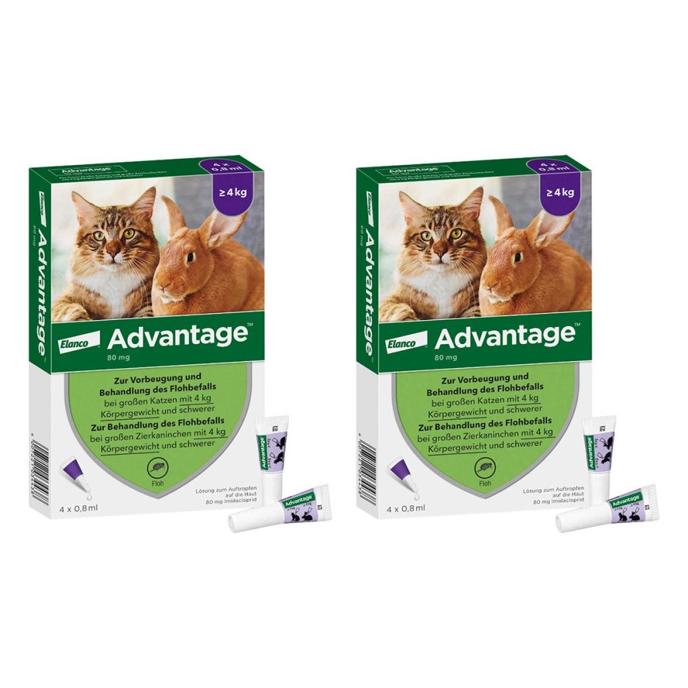 Advantage 80 mg für gr.Katzen und gr.Zierkaninchen 2x4x0.8 ml