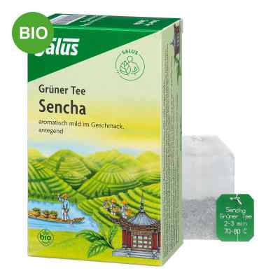 Grüner Tee bio Salus Filterbeutel 15 stk von SALUS Pharma GmbH PZN 00249372