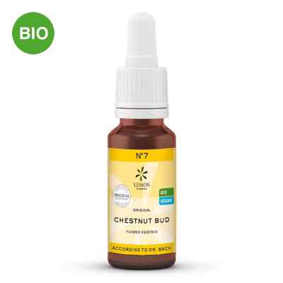 Bachblüte numero 7 Chestnut Bud Bio 20 ml von Hager Pharma GmbH PZN 10310523