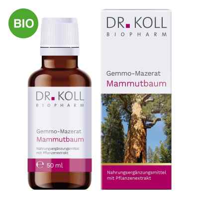 Gemmo Mazerat Mammutbaum Doktor koll Sequoia Gigantea 50 ml von Dr. Koll Biopharm GmbH PZN 18468011