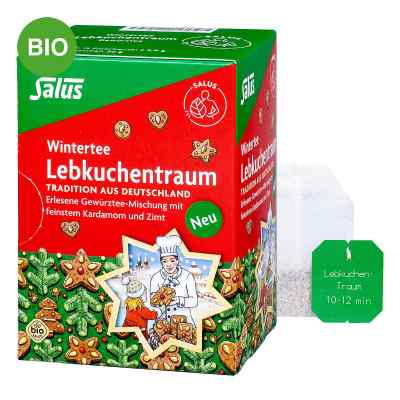 Salus Lebkuchentraum Bio Filterbeutel 15 stk von SALUS Pharma GmbH PZN 19659813