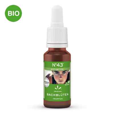 Bachblüten Nummer 4 3 Motivation Tropfen 20 ml von Hager Pharma GmbH PZN 19850190