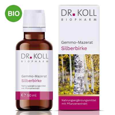 Dr. Koll Gemmo-Mazerat Silberbirke Tropfen 50 ml von Dr. Koll Biopharm GmbH PZN 20059886