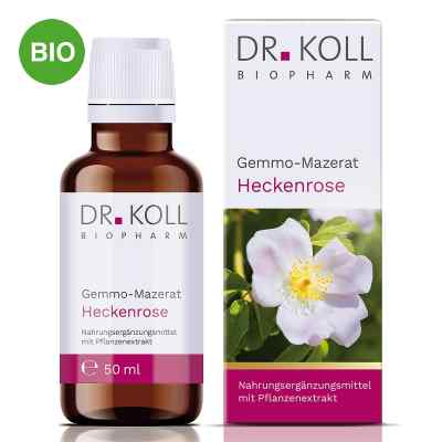 Dr. Koll Gemmo-Mazerat Heckenrose Tropfen 50 ml von Dr. Koll Biopharm GmbH PZN 20059969