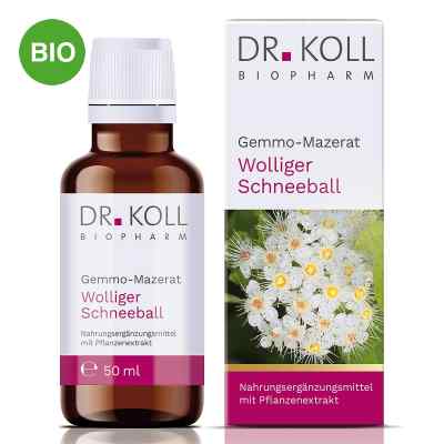 Dr. Koll Gemmo-Mazerat Wolliger Schneeball Tropfen 50 ml von Dr. Koll Biopharm GmbH PZN 20059998
