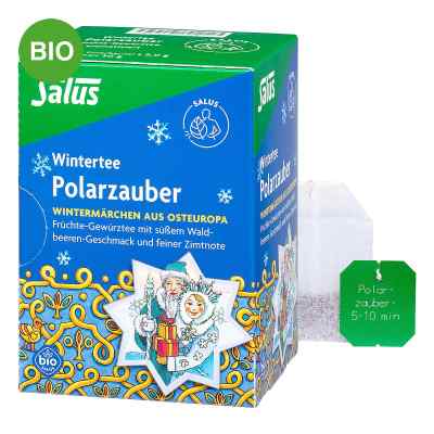 Salus Polarzauber Früchte-Gewürztee Bio Filterbeutel 15 stk von SALUS Pharma GmbH PZN 20103185