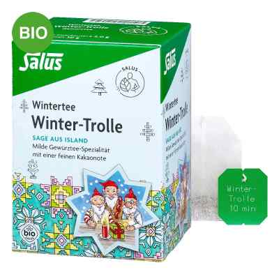 Salus Winter-Trolle Winter-Gewürztee Bio Filterbeutel 15 stk von SALUS Pharma GmbH PZN 20103222