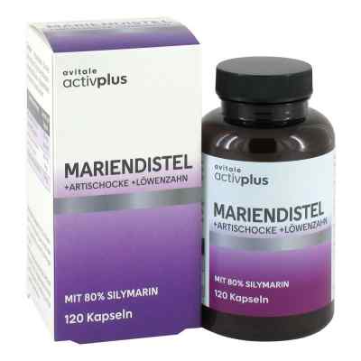 Activplus Mariendistel+Artischocke+Löwenzahn Kapseln 120 stk von Avitale GmbH PZN 20119571