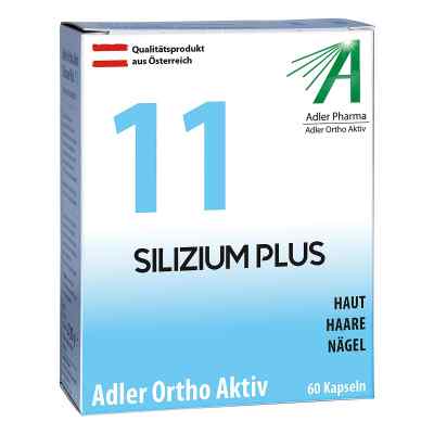 Adler Ortho Aktiv Kapseln Nummer 11 60 stk von Adler Pharma Produktion und Vertrieb GmbH PZN 06122164