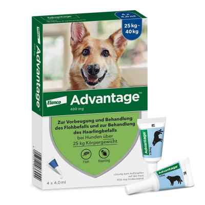 Advantage Spot-On für Hunde von 25 bis 40 kg Körpergewicht 1X4 stk von Elanco Deutschland GmbH PZN 00334178