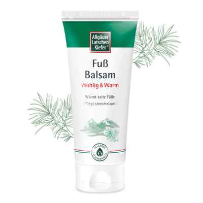 Allgäuer Latschenk. Fuß Balsam Wohlig & Warm 100 ml von Dr. Theiss Naturwaren GmbH PZN 19910029