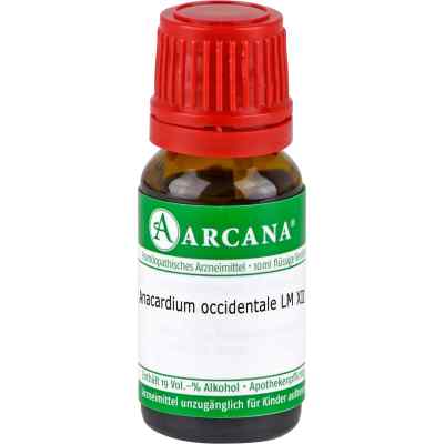 Anacardium Occidentale Lm 12 Dilution 10 ml von ARCANA Dr. Sewerin GmbH & Co.KG PZN 13327429