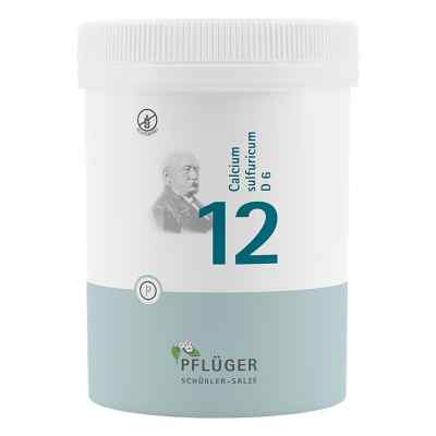 Biochemie Pflüger 12 Calcium Sulfur D6 Tabletten 1000 stk von Homöopathisches Laboratorium Alexander Pflüger Gmb PZN 06321165