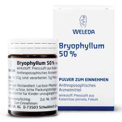 Bryophyllum 50% Pulver zum Einnehmen 50 g von WELEDA AG PZN 01631441