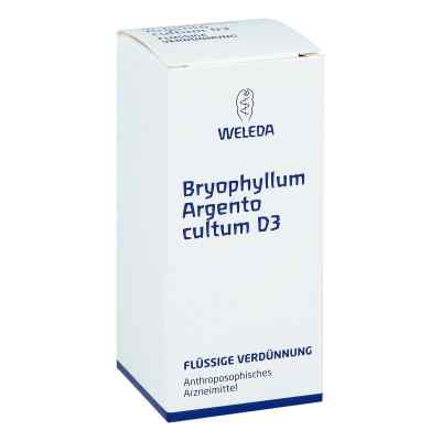 Bryophyllum Argento Cultum Dilution D3 50 ml von WELEDA AG PZN 01571934