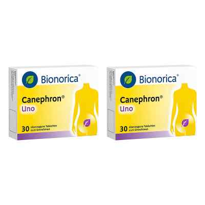 Canephron Uno überzogene Tabletten 2x30 stk von Bionorica SE PZN 08106362