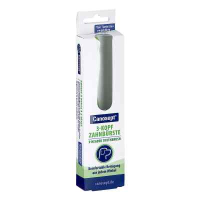 Canosept 3-kopf Zahnbürste F.hunde 1 stk von ARDAP CARE GmbH PZN 17561079
