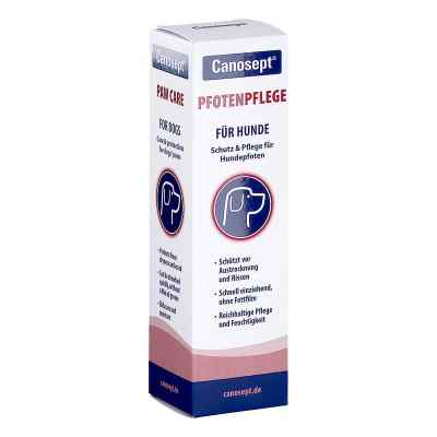 Canosept Pfotenpflege Gel für Hunde 75 g von ARDAP CARE GmbH PZN 13330928