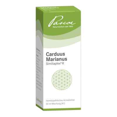 Carduus Marianus Similiaplex R Tropfen 50 ml von Pascoe pharmazeutische Präparate GmbH PZN 04193556
