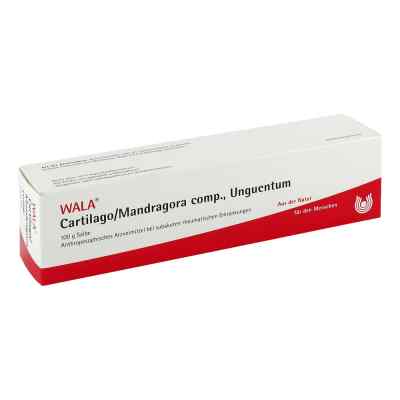 Cartilago/mandragora compositus Salbe 100 g von WALA Heilmittel GmbH PZN 02198236