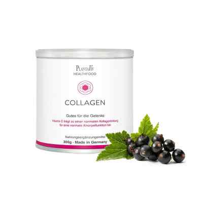 Collagen Gutes für die Gelenke Pulver 300 g von PlantaVis GmbH PZN 14033115