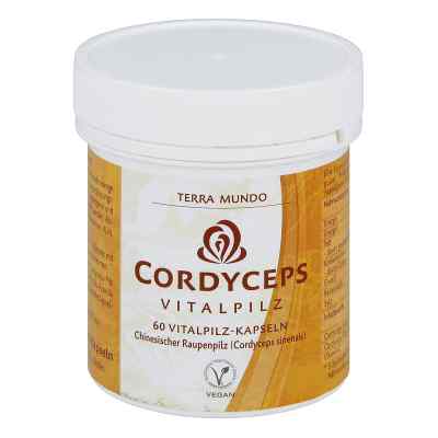 Cordyceps Vitalpilz Terra Mundo Kapseln 60 stk von Terra Mundo GmbH PZN 02250988