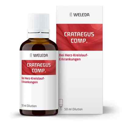 Crataegus Comp. Dilution 50 ml von WELEDA AG PZN 01572595