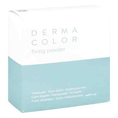 Dermacolor Camouflage Fixierpuder large P11 60 g von Kryolan GmbH PZN 15820157