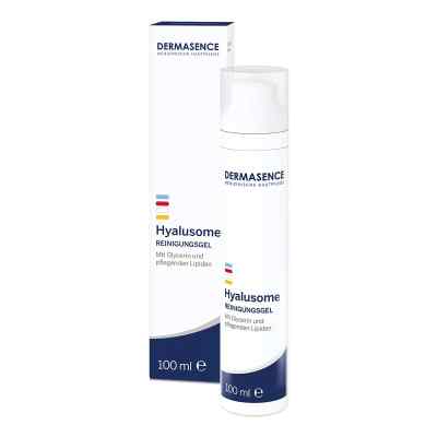 Dermasence Hyalusome Reinigungsgel