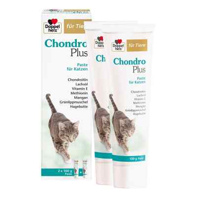 Doppelherz Für Tiere Chondro Plus Paste F.katzen 2X100 g von Queisser Pharma GmbH & Co. KG PZN 19745263