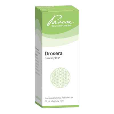 Drosera Similiaplex Tropfen 50 ml von Pascoe pharmazeutische Präparate GmbH PZN 03833686