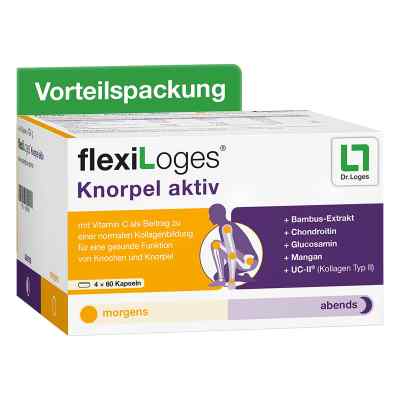 Flexiloges Knorpel Aktiv Kapseln 240 stk von Dr. Loges + Co. GmbH PZN 18784628