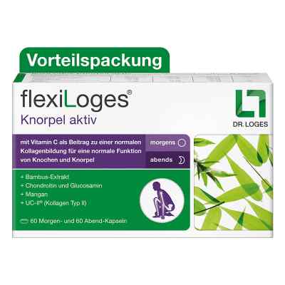Flexiloges Knorpel Aktiv Kapseln 240 stk von Dr. Loges + Co. GmbH PZN 18784628