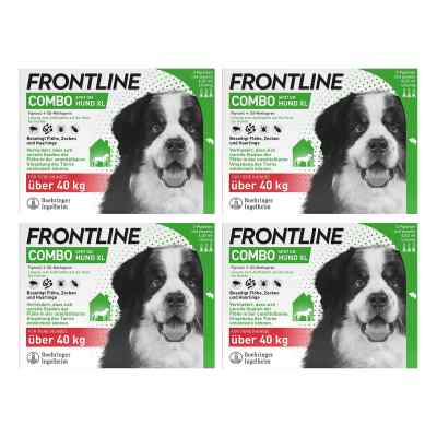Frontline Combo Hund XL (40-60 kg) gegen Zecken, Flöhe 4x3 stk von Boehringer Ingelheim VETMEDICA G PZN 08102569