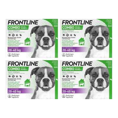 FRONTLINE COMBO® Spot On Hund L 20-40 kg 4x3 stk von Boehringer Ingelheim VETMEDICA GmbH PZN 08102568