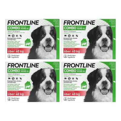 FRONTLINE COMBO® Spot On Hund XL >40 kg 4x3 stk von Boehringer Ingelheim VETMEDICA GmbH PZN 08102569