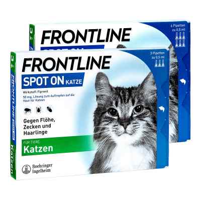 FRONTLINE SPOT ON Katze