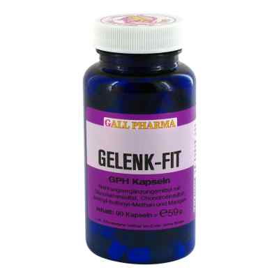 Gelenk Fit Gph Kapseln 90 stk von Hecht-Pharma GmbH PZN 05896863