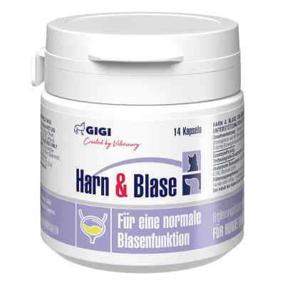 GIGI VET Harn & Blase N14 14 stk von Farma PET GIGI (SIA) LLC PZN 19459623