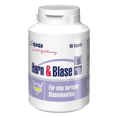 GIGI VET Harn & Blase N90 90 stk von Farma PET GIGI (SIA) LLC PZN 19459445