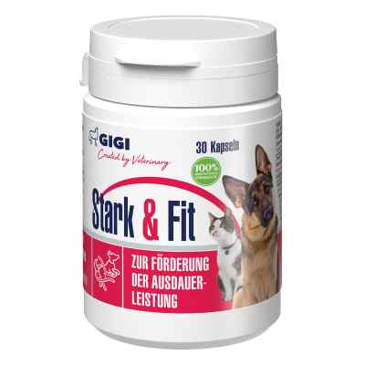 GIGI VET Stark & Fit für Hunde und Katzen N30 30 stk von Farma PET GIGI (SIA) LLC PZN 19459480