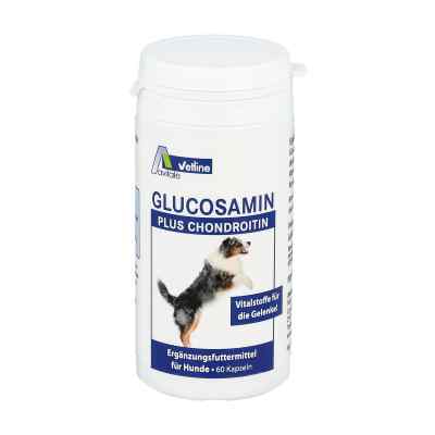 Glucosamin+chondroitin Kapseln für Hunde 60 stk von Avitale GmbH PZN 03025727