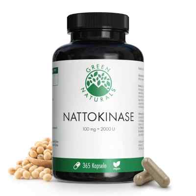 Green Naturals Nattokinase 100 mg Kapseln vegan 365 stk von Heilpflanzenwohl GmbH PZN 18497596
