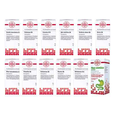 Homöopathische Hausapotheke 12x10 g von DHU-Arzneimittel GmbH & Co. KG PZN 08100553