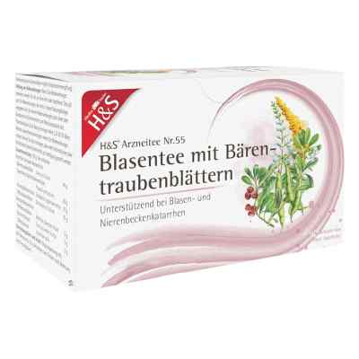 H&s Blasentee Mit Bärentraubenblätter Filterbeutel 20X2.0 g von H&S Tee - Gesellschaft mbH & Co. PZN 18372877