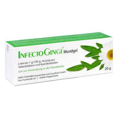Infectogingi Mundgel 20 g von INFECTOPHARM Arzn.u.Consilium GmbH PZN 06819043