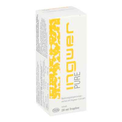 Ingwer Pure Tropfen 20 ml von Med Pharma Service GmbH PZN 09303268